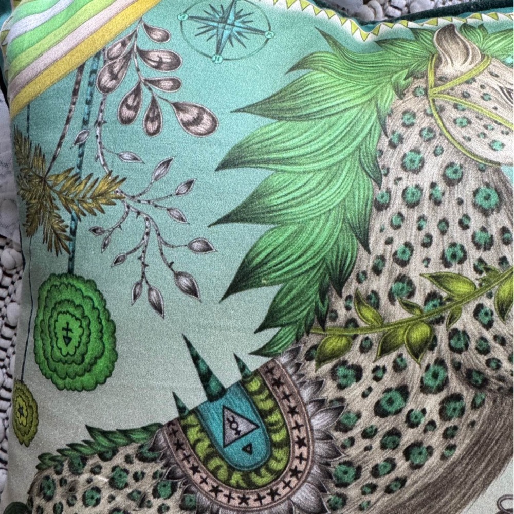 Emma J Shipley designer velvet throw pillow - Picture 4 of 8